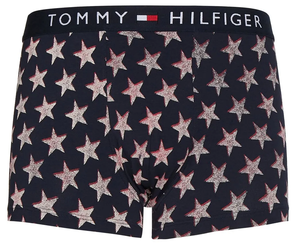 Tommy Hilfiger Trunk Print 1P - offset star Tommy Hilfiger Trunk Print 1P - offset star