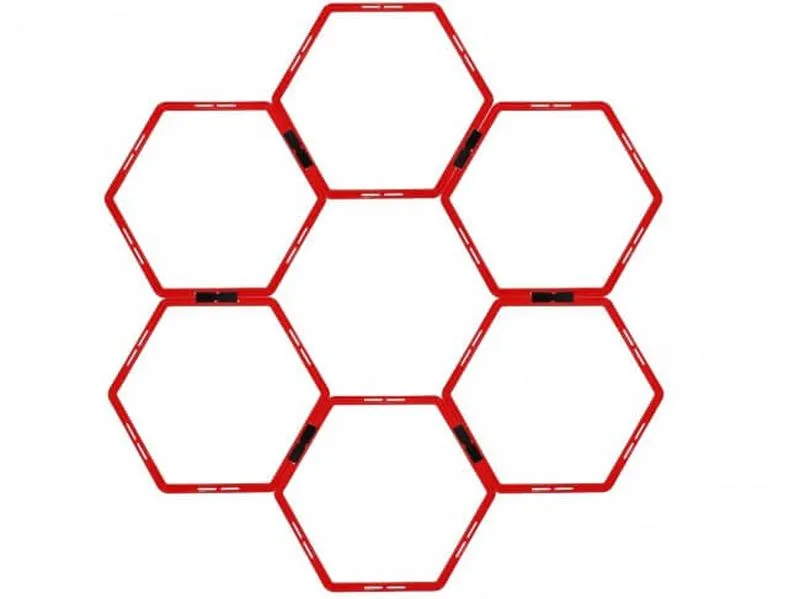  Pro's Pro Octa Agility Grid 6 pcs - multicolor
