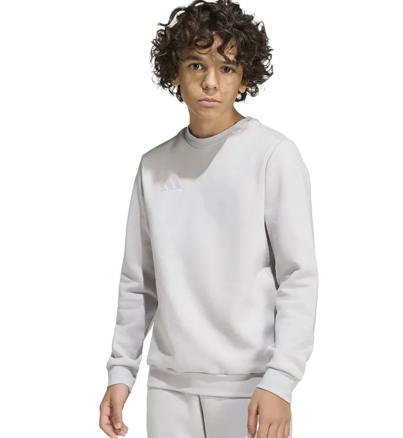 Adidas Kids Entrada 26 Sweat Top - team light grey/white