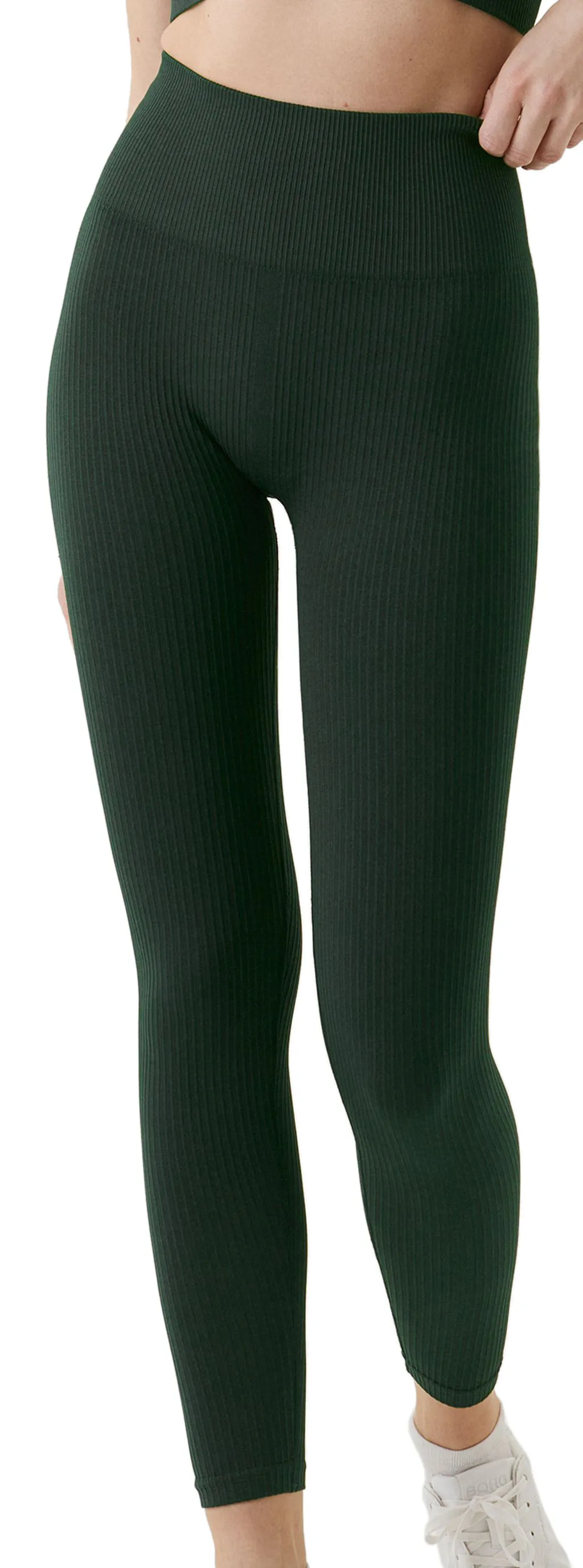 Björn Borg Sthlm Seamless Rib Tights - deep forest green Björn Borg Sthlm Seamless Rib Tights - deep forest green