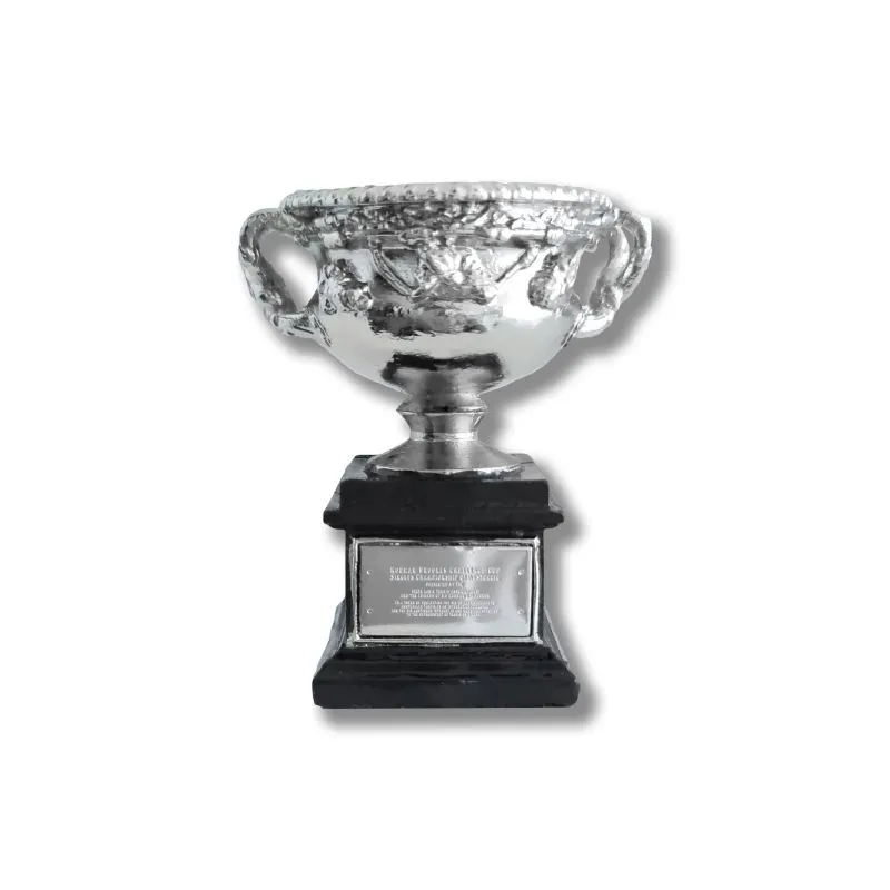 A0MENSDESKTROPHY-front