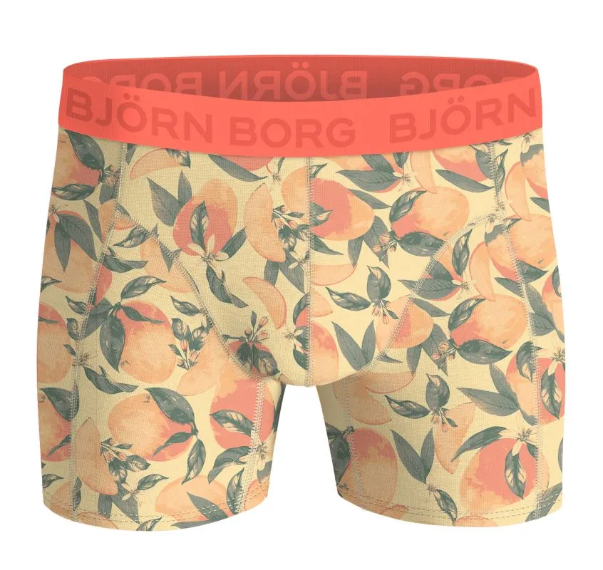 Björn Borg Cotton Stretch 3P - multicolor