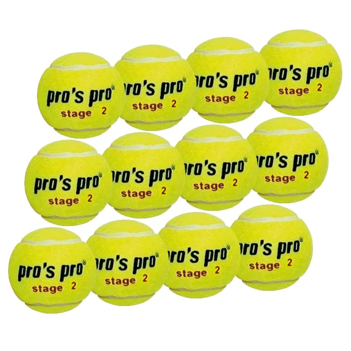 Pro's Pro Stage 2 with orange point 12B