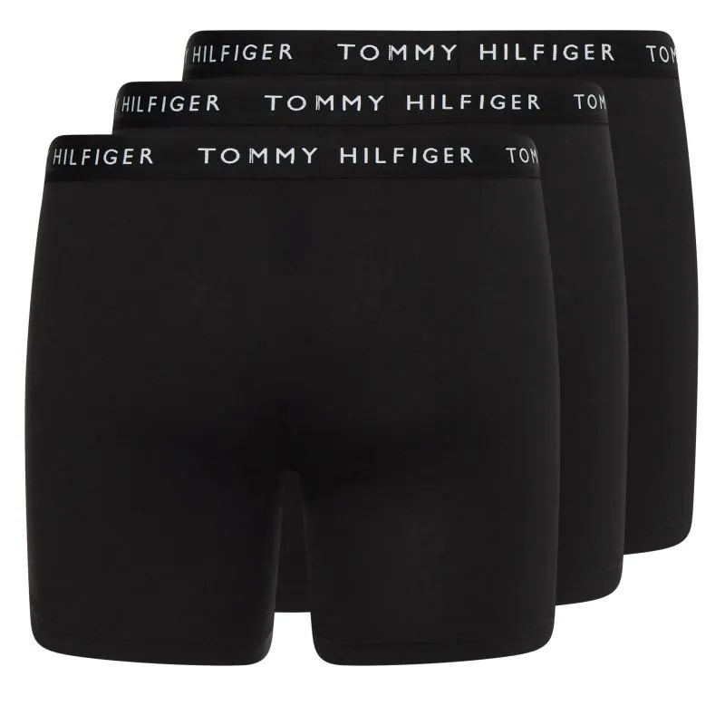 Tommy-Hilfig_009999_0TE_UM0UM022040TE_3