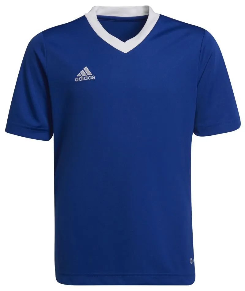 Adidas Kids Entrada 22 Jersey