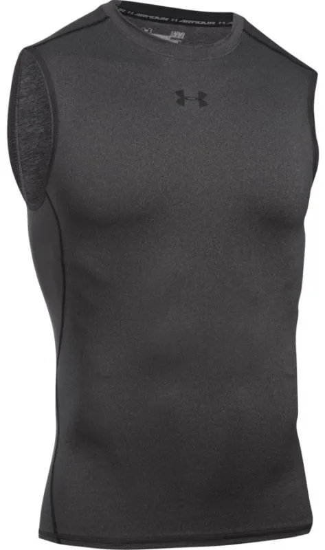 Under Armour HG Armour SL - gray
