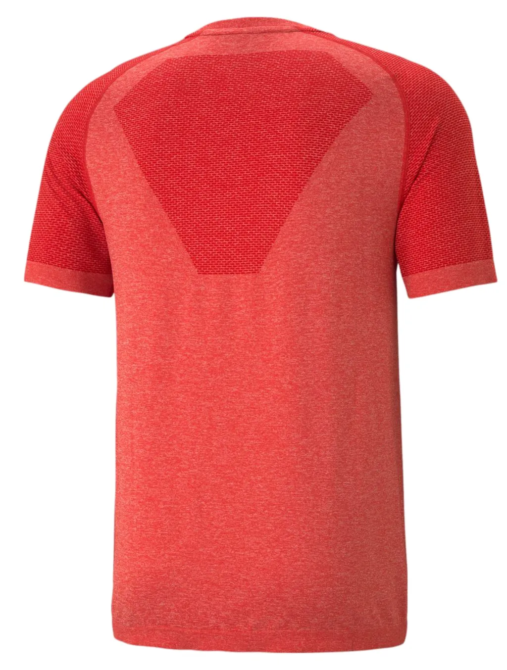 Meski-T-shirt-evoKNIT-RTG-Basic-1vAwzINp1lJdVY