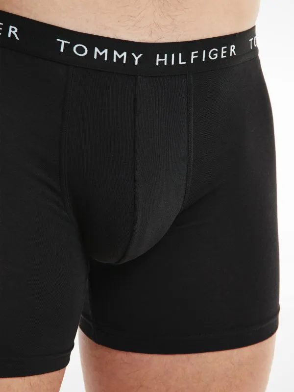 Tommy-Hilfig_009999_0TE_UM0UM022040TE_4
