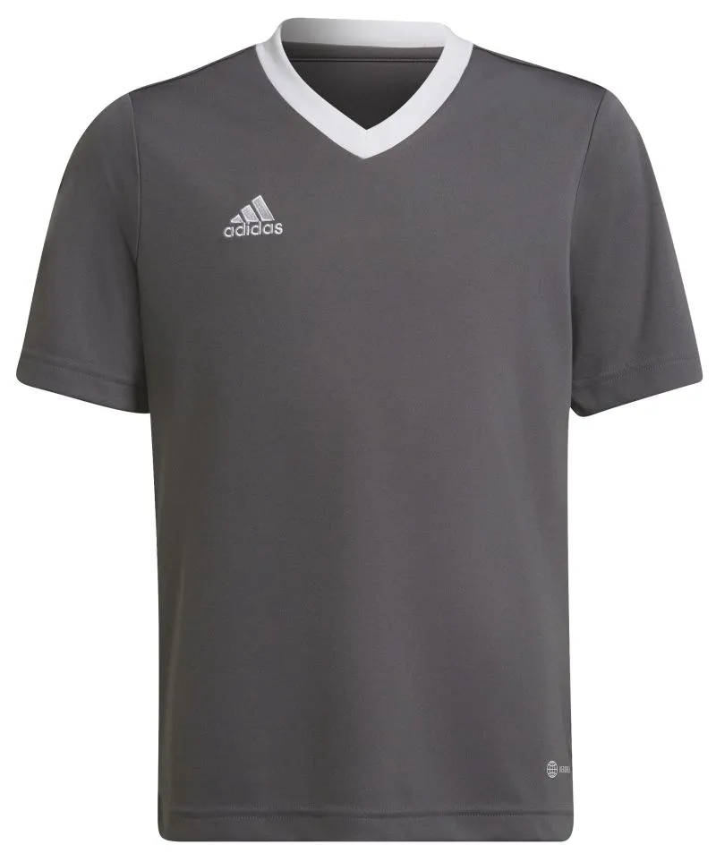 Adidas Kids Entrada 22 Jersey