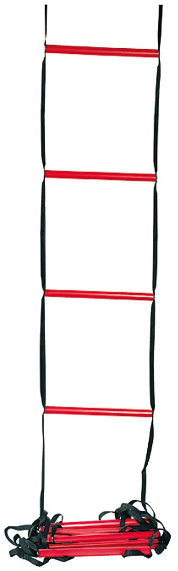Wilson Training Ladder