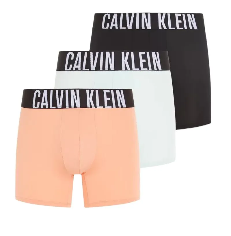 Calvin Klein Intense Power Boxer Briefs 3P