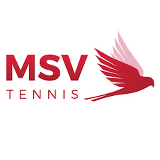 MSV Padel Pointer