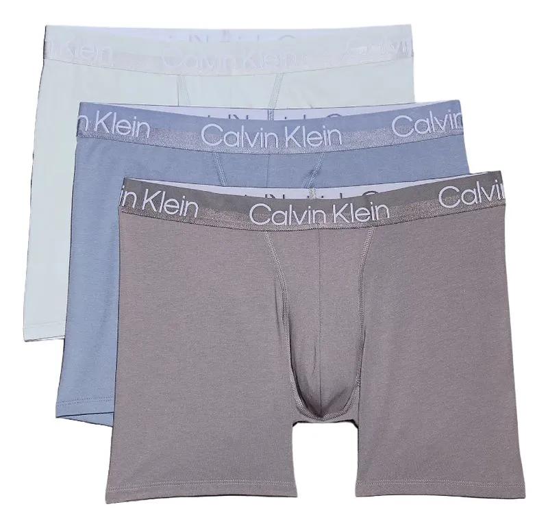 Calvin Klein Briefs Modern Structure 3P