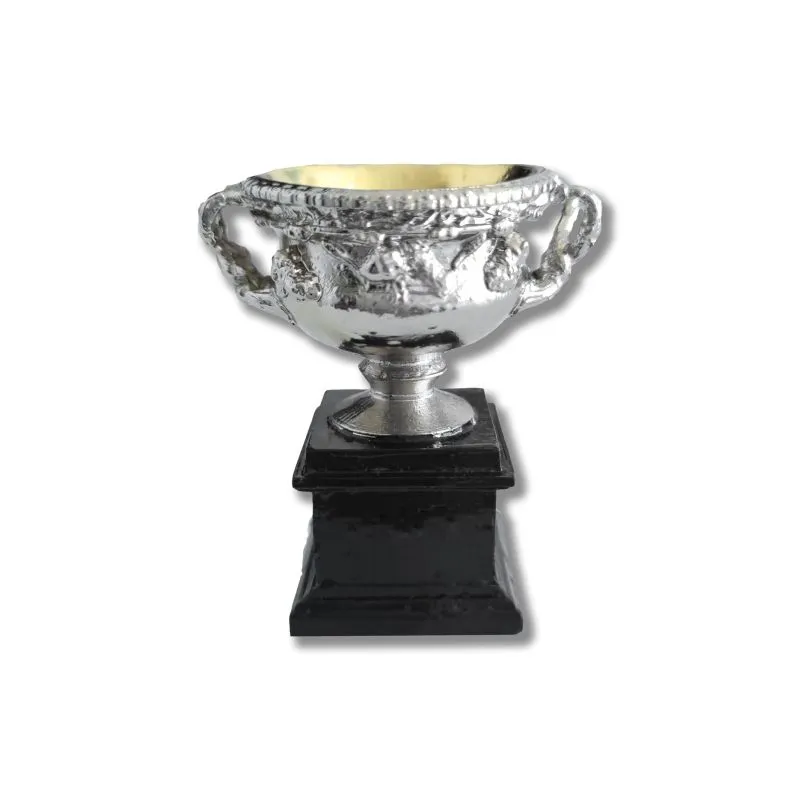 A0MENSDESKTROPHY-back