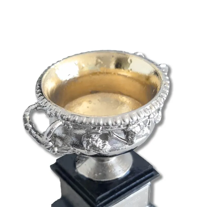 A0MENSDESKTROPHY-details