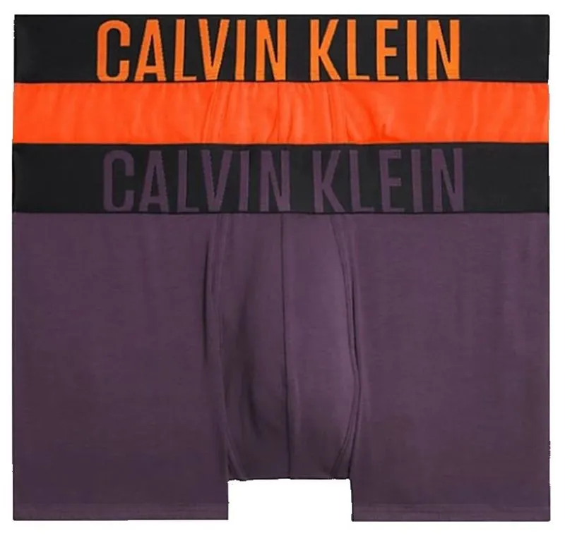 Calvin Klein Intense Power Trunk Shorty 2P - carrot/mysterioso