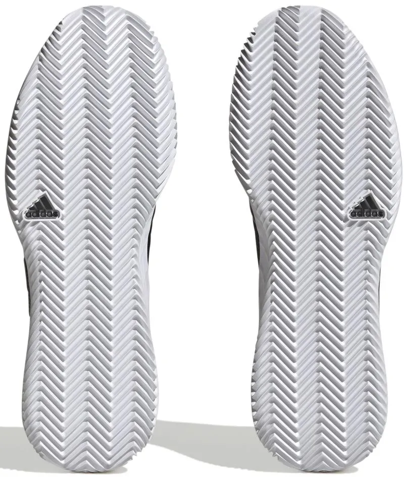 ADIIG5479-000_3