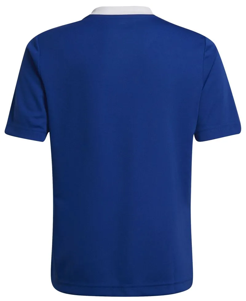 HG3948_3_APPAREL_Photography_Back-Center-View_white