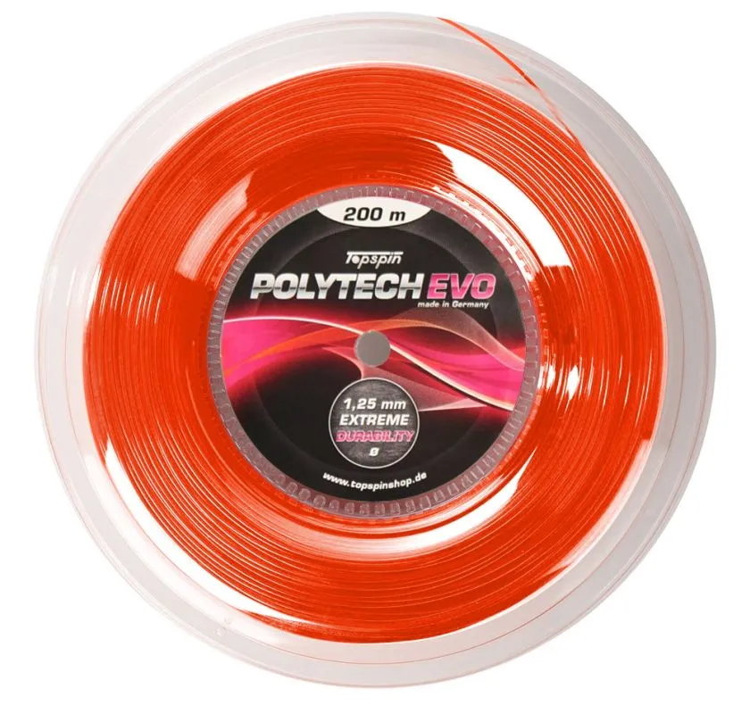 poytechevo-2
