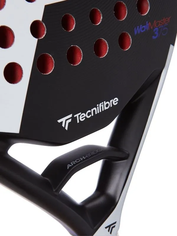 Tecnifibre WallMaster 365