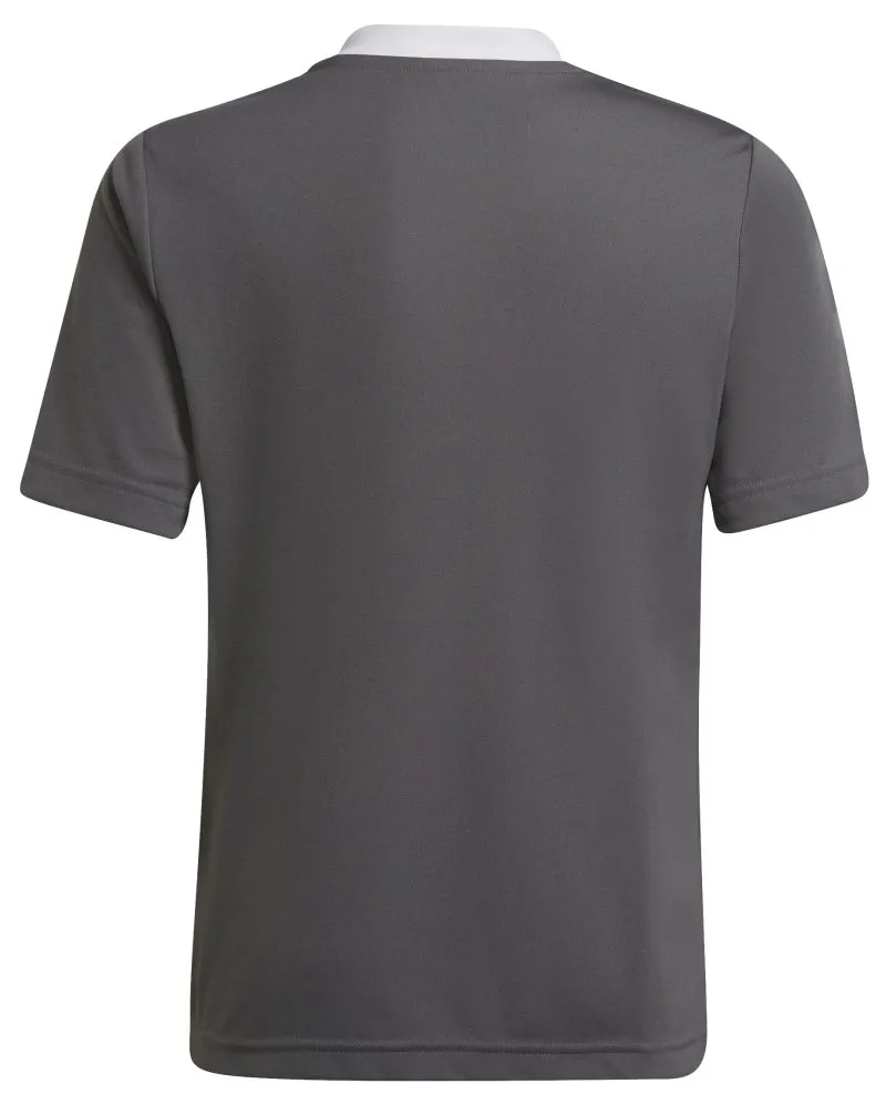 H57499_3_APPAREL_Photography_Back-Center-View_white
